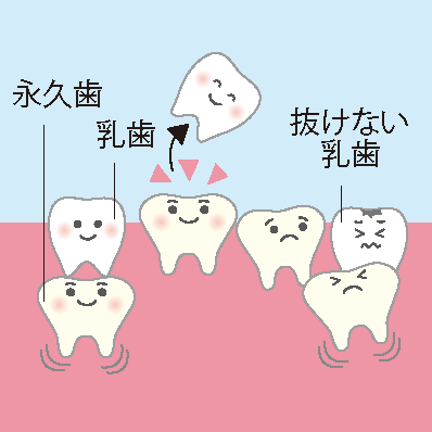 永久歯の生え変わり