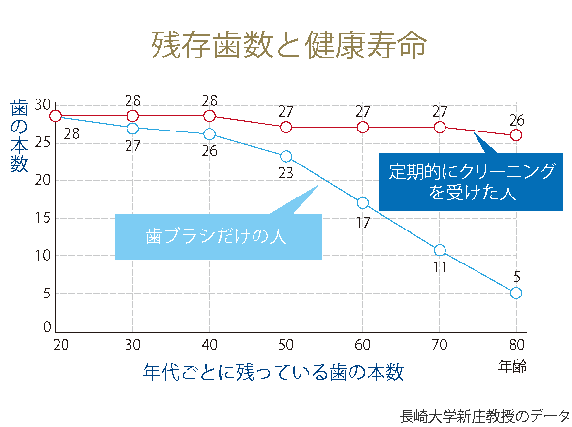 残存歯数と健康寿命