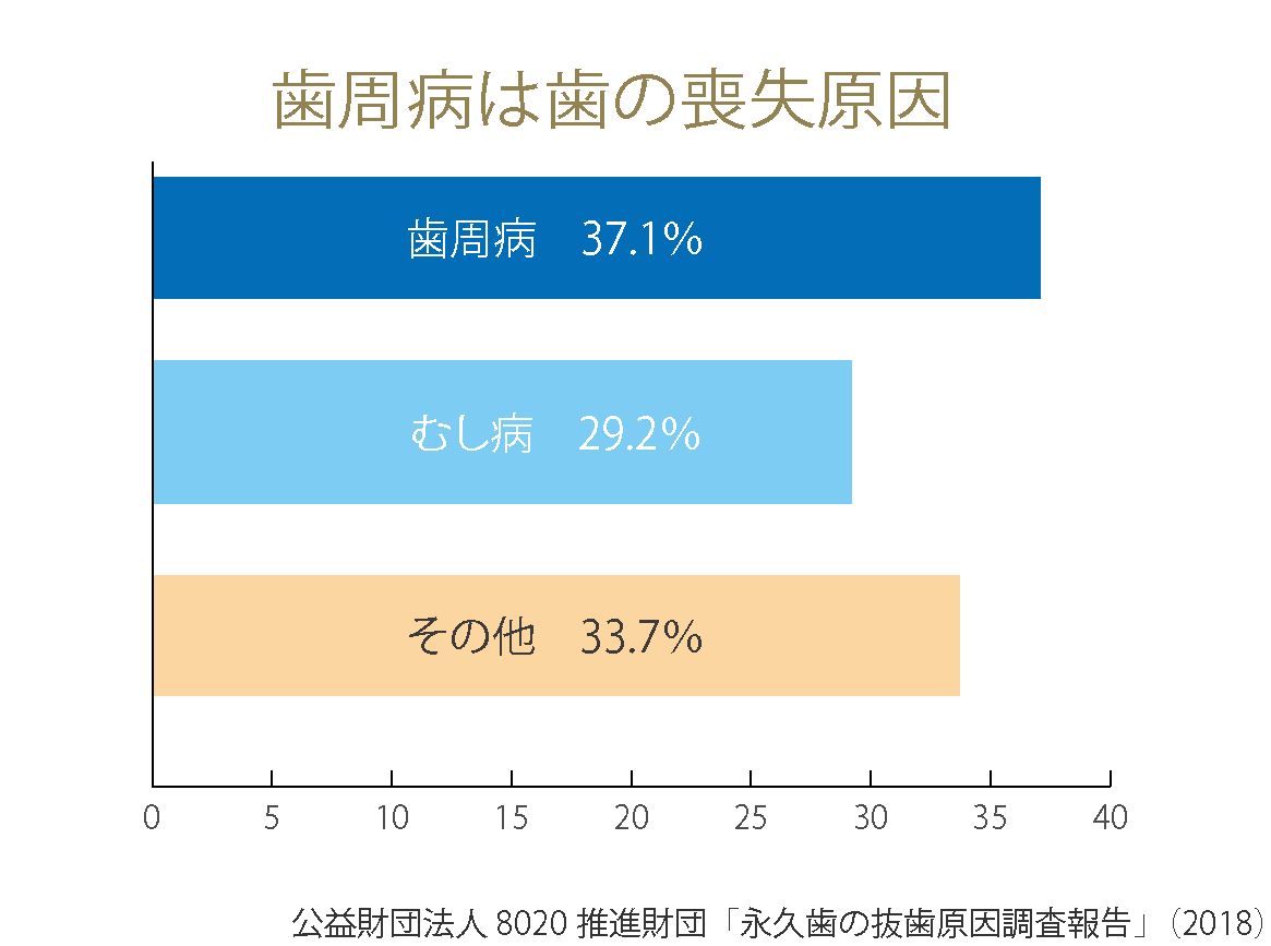 歯周病は歯の喪失原因